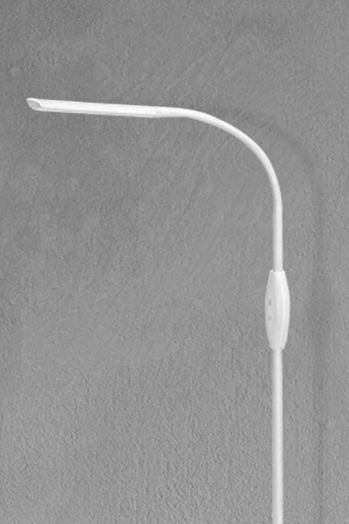 Brixton Flexible LED Floor Lamp