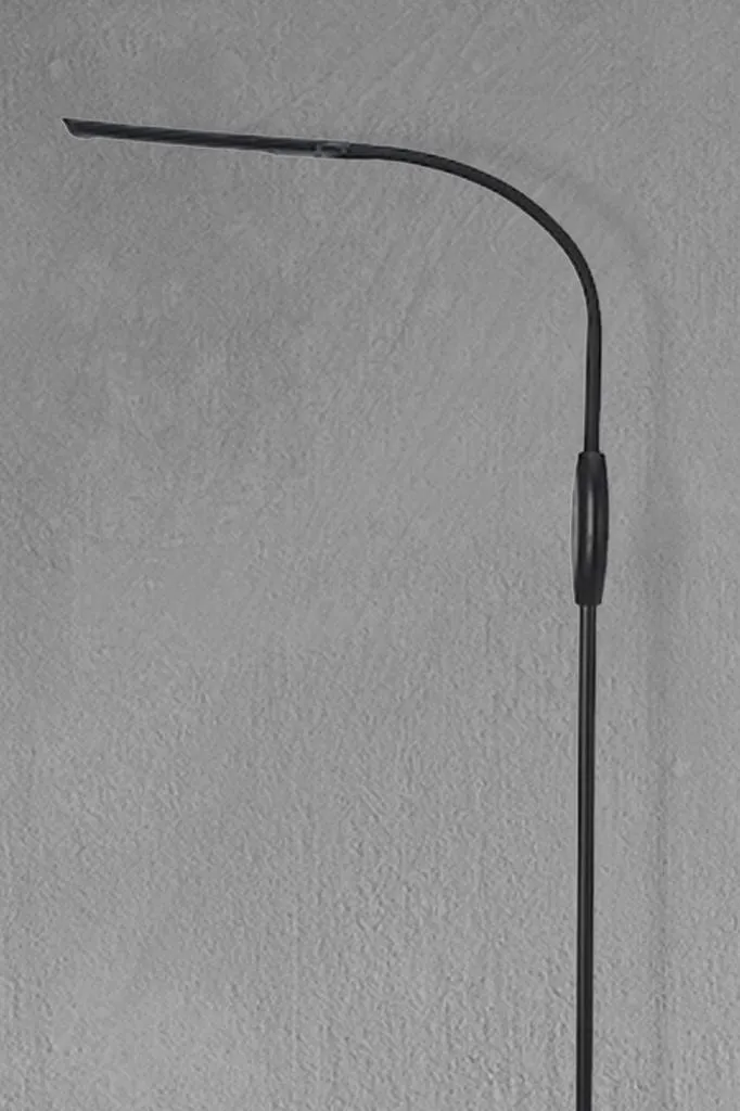 Brixton Flexible LED Floor Lamp