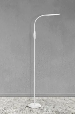 Brixton Flexible LED Floor Lamp