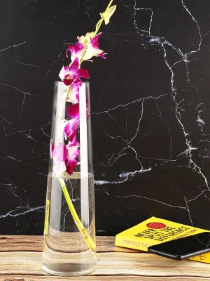 Clovefry Meenar Shape Glass Decorative Glass Vases, Flower Vase Tapered (10 X 30 Cm, Clear)