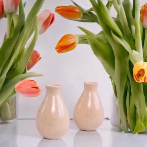 Globe decor, Beige Ceramic Small Vases for Home Decor 2 Pieces Center Table Bedroom Living Room Flower Vases for Home Décor Home Decorative Flower Vase Cream vases