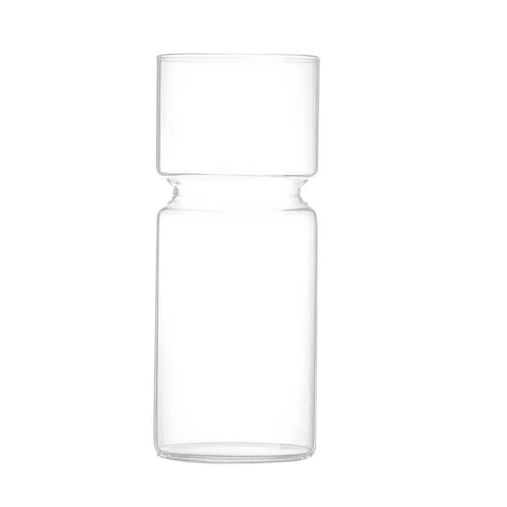 Hyacinths Hydroponic Terrarium Plant Vases | Glass Container Plants