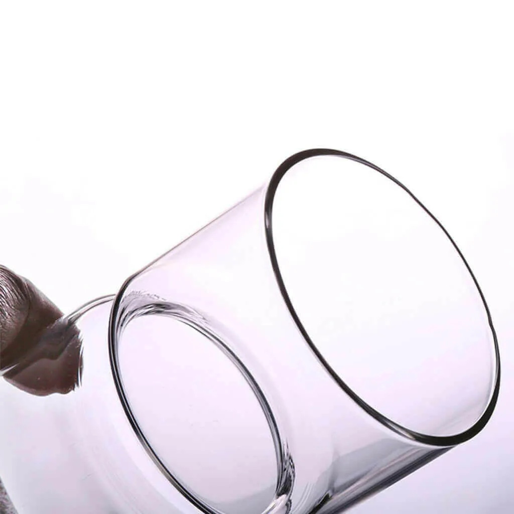 Hyacinths Hydroponic Terrarium Plant Vases | Glass Container Plants