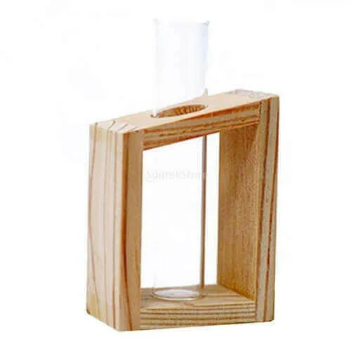 Hyacinths Hydroponic Terrarium Plant Vases | Glass Container Plants