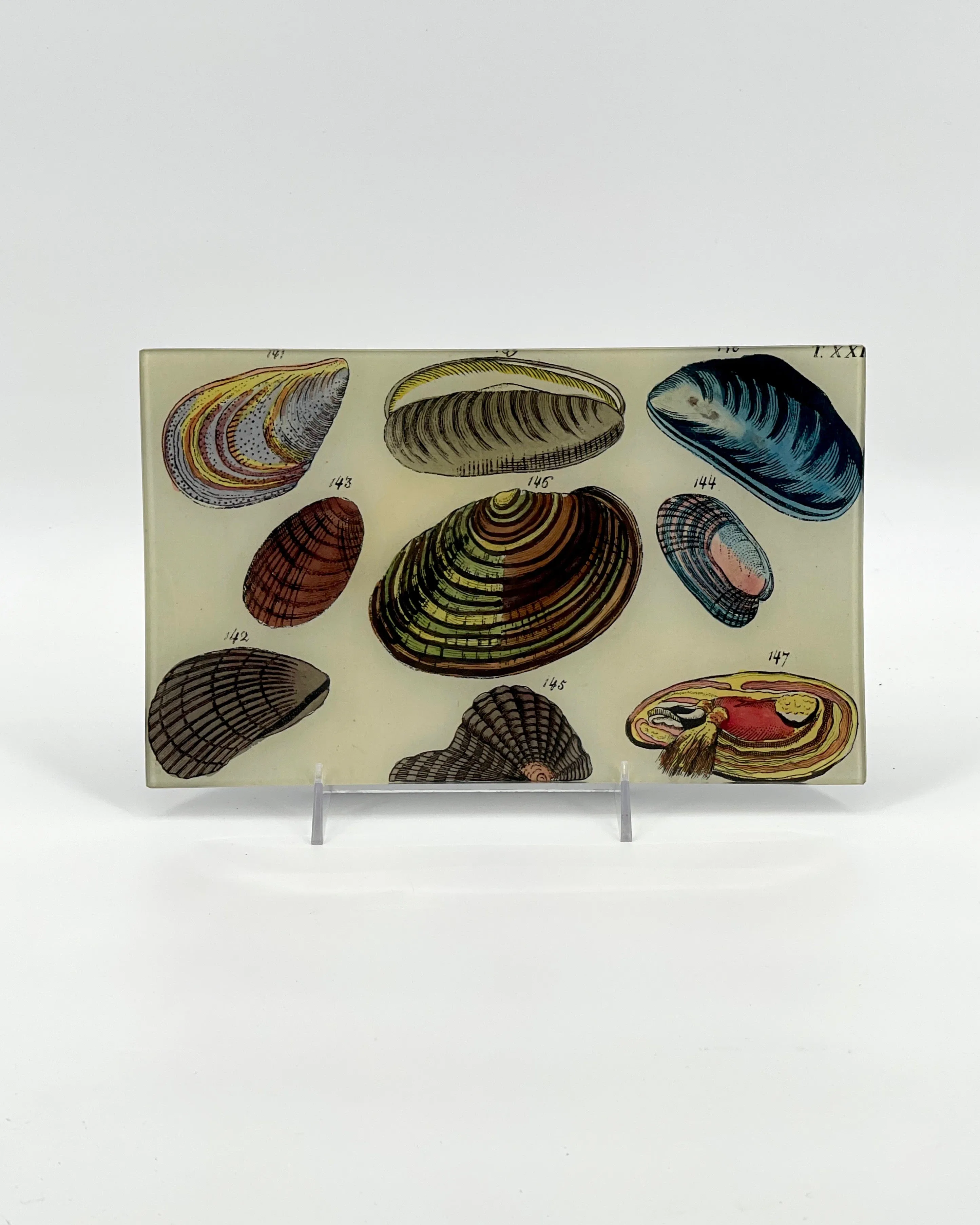 John Derian 7 x 11.5" Trays