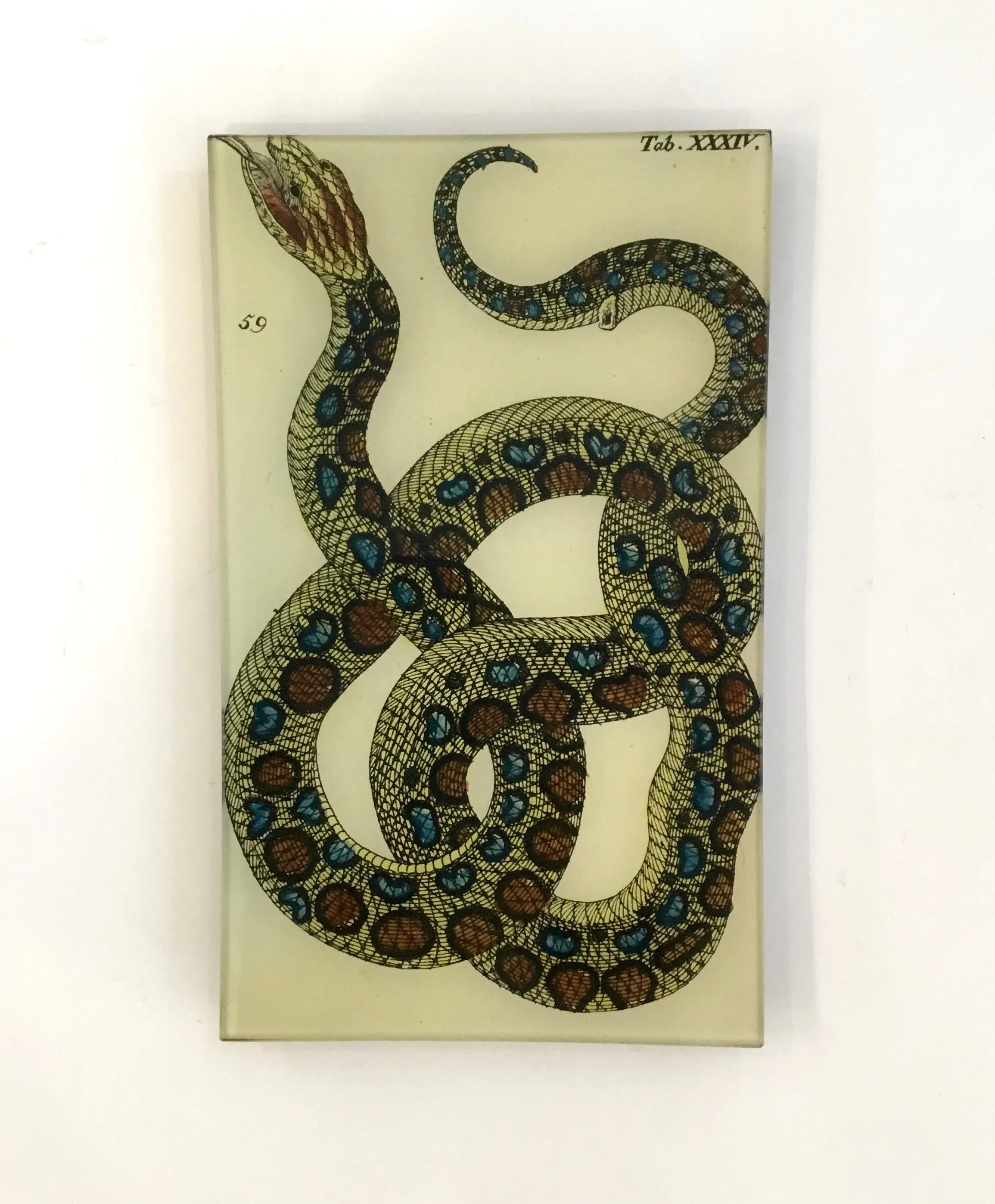 John Derian 7 x 11.5" Trays