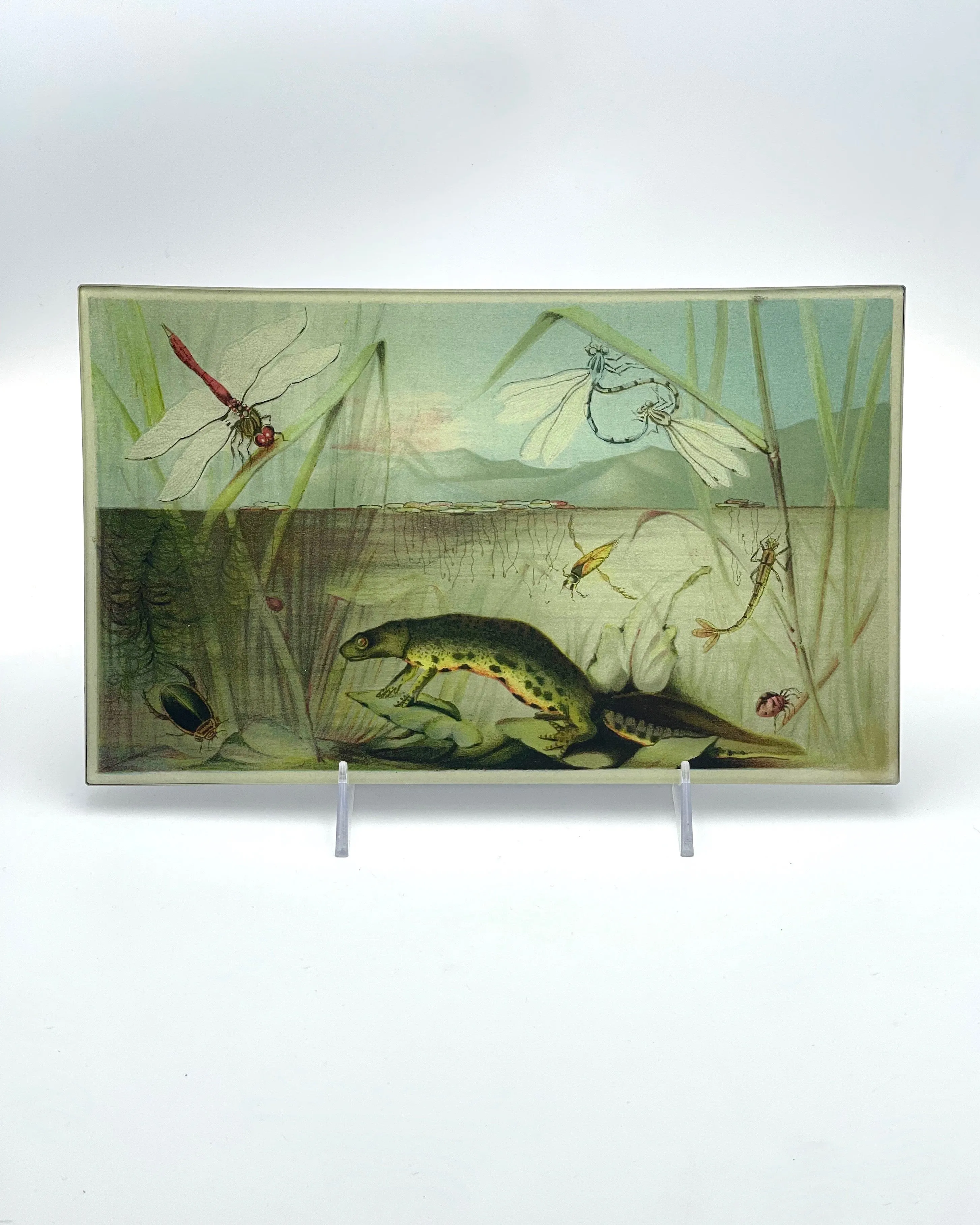 John Derian 7 x 11.5" Trays