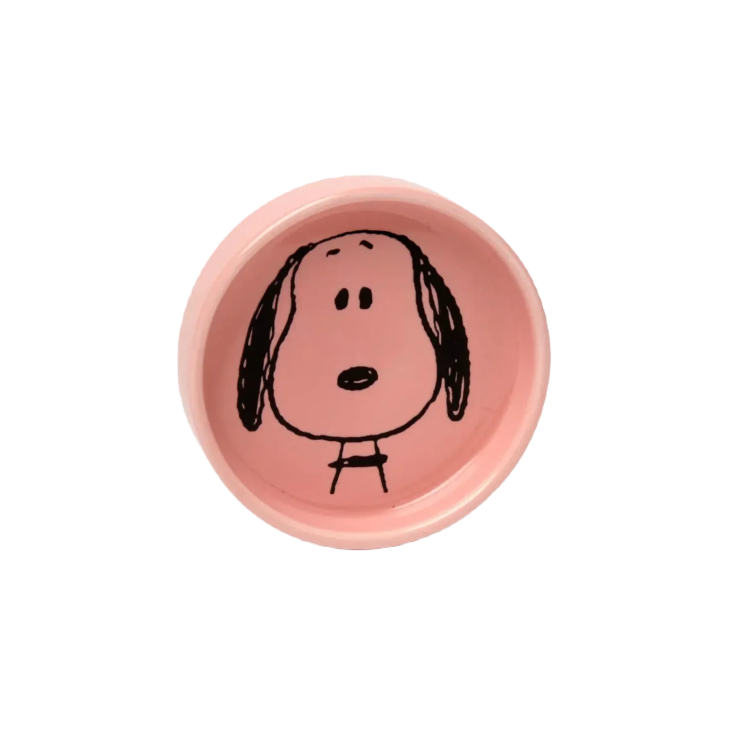 Magpie Gifts Peanuts Pin Dish - Visage