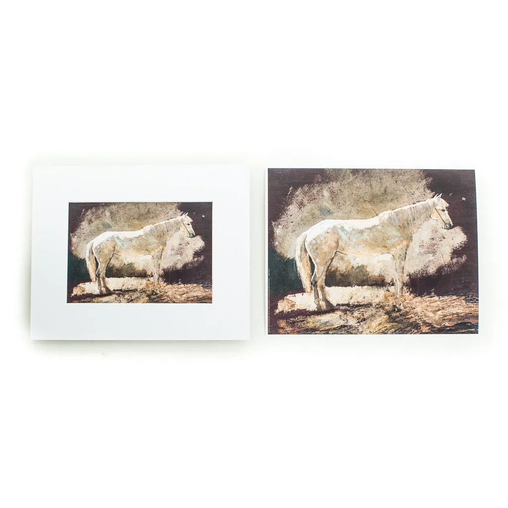Majestic White Horse Art