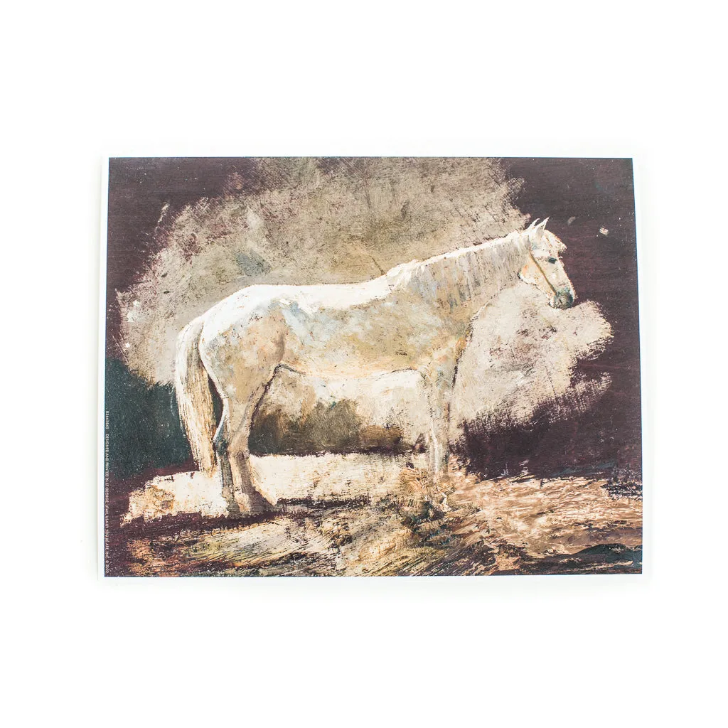 Majestic White Horse Art