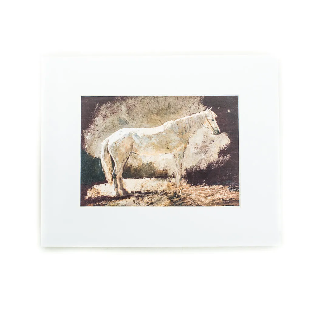 Majestic White Horse Art