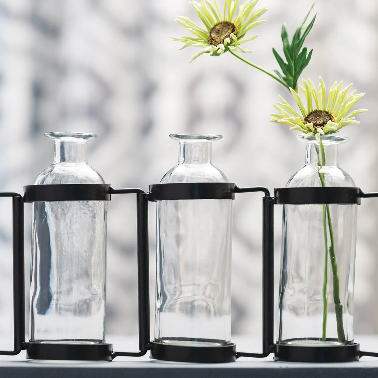 Modern 10 Connected Glass Bottle Vases