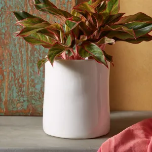 Modern Vase
