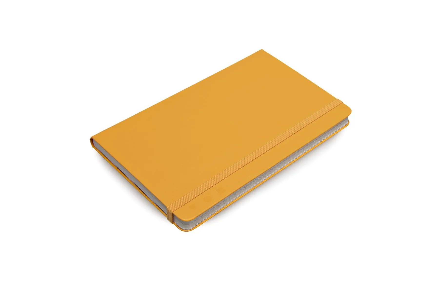 Moleskine Folio Professional Notebook - Large