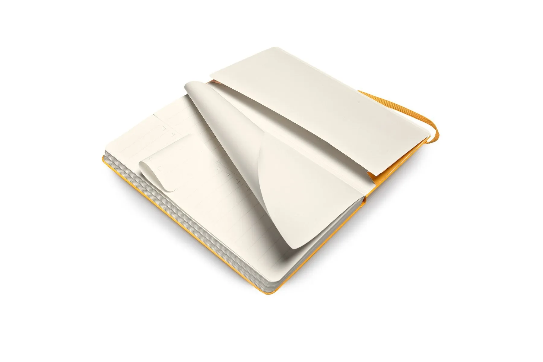 Moleskine Folio Professional Notebook - Large