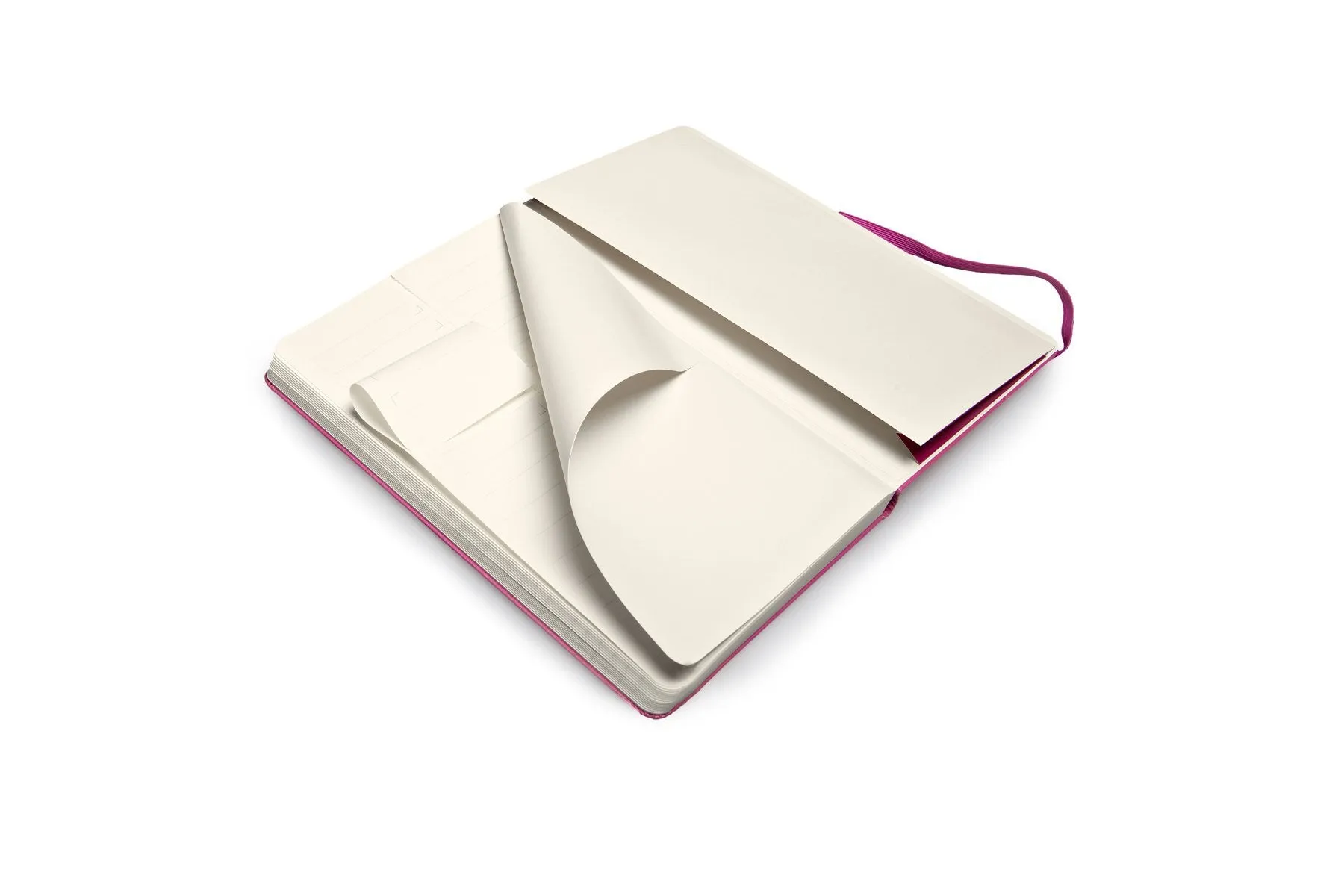 Moleskine Folio Professional Notebook - Large