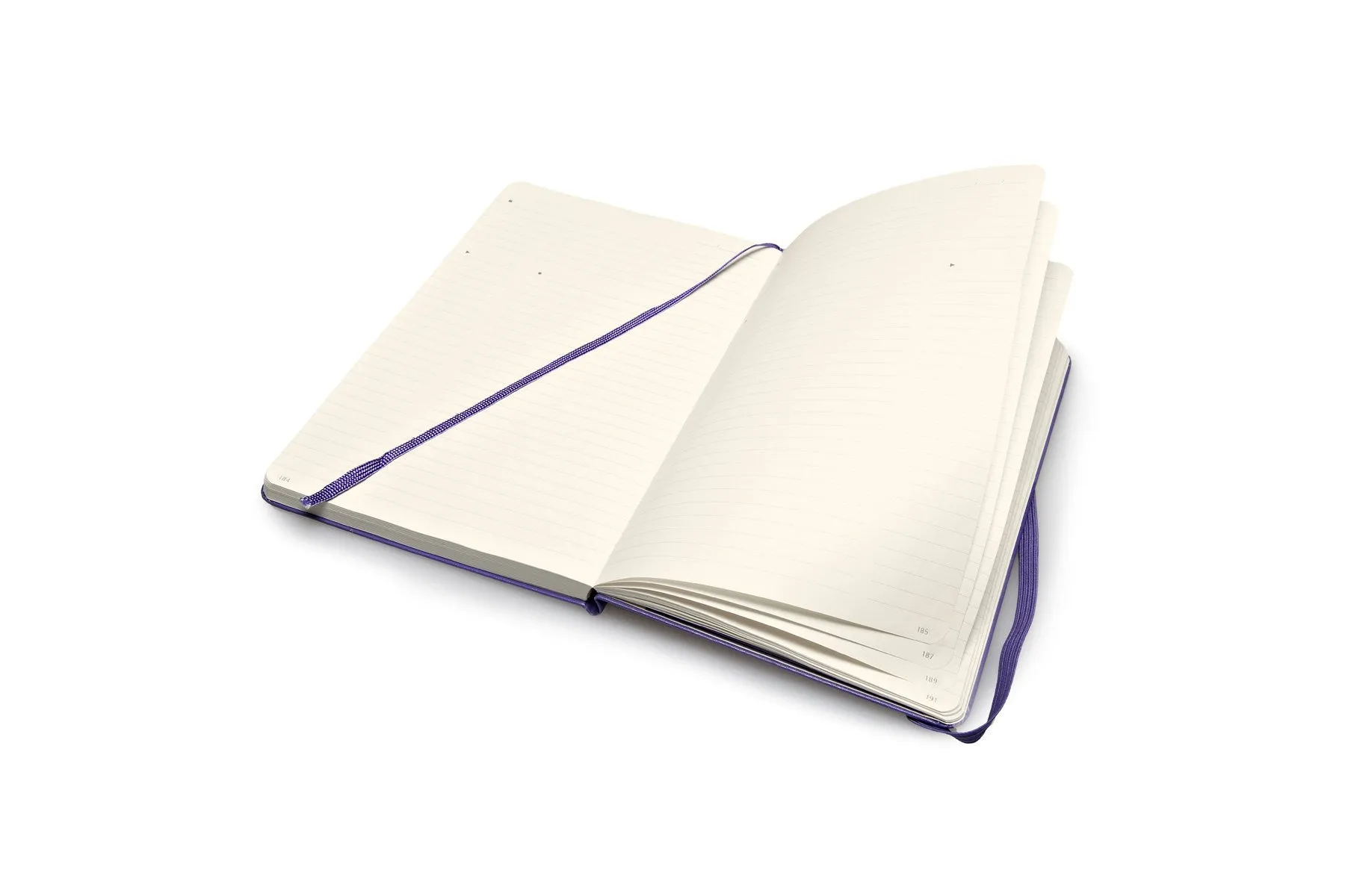 Moleskine Folio Professional Notebook - Large