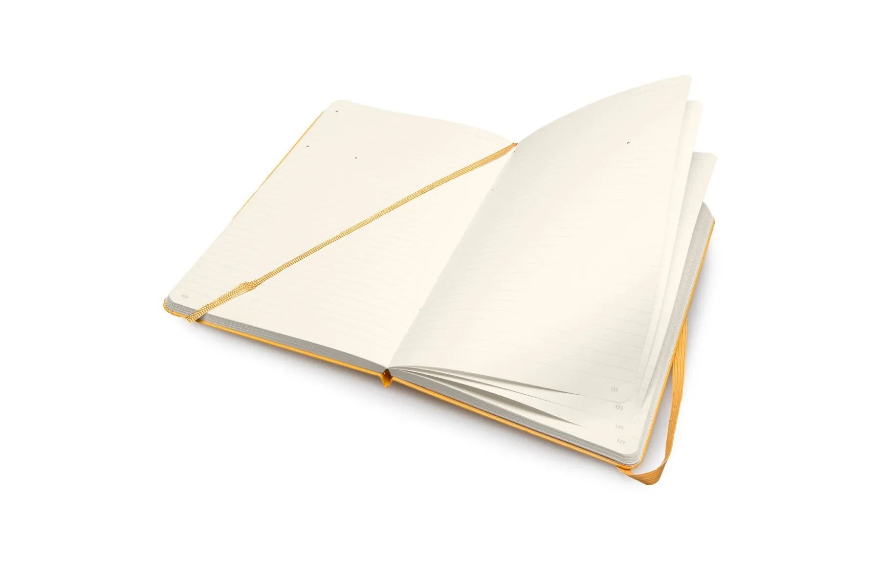 Moleskine Folio Professional Notebook - Large