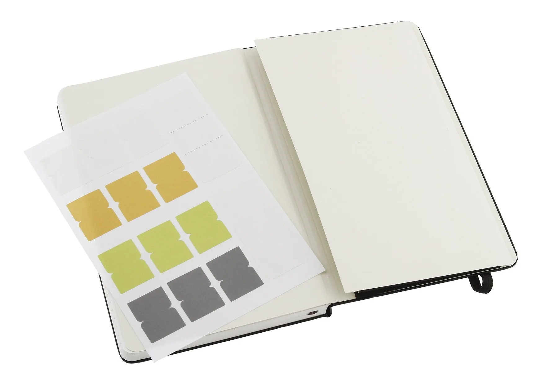 Moleskine Folio Professional Notebook - Large