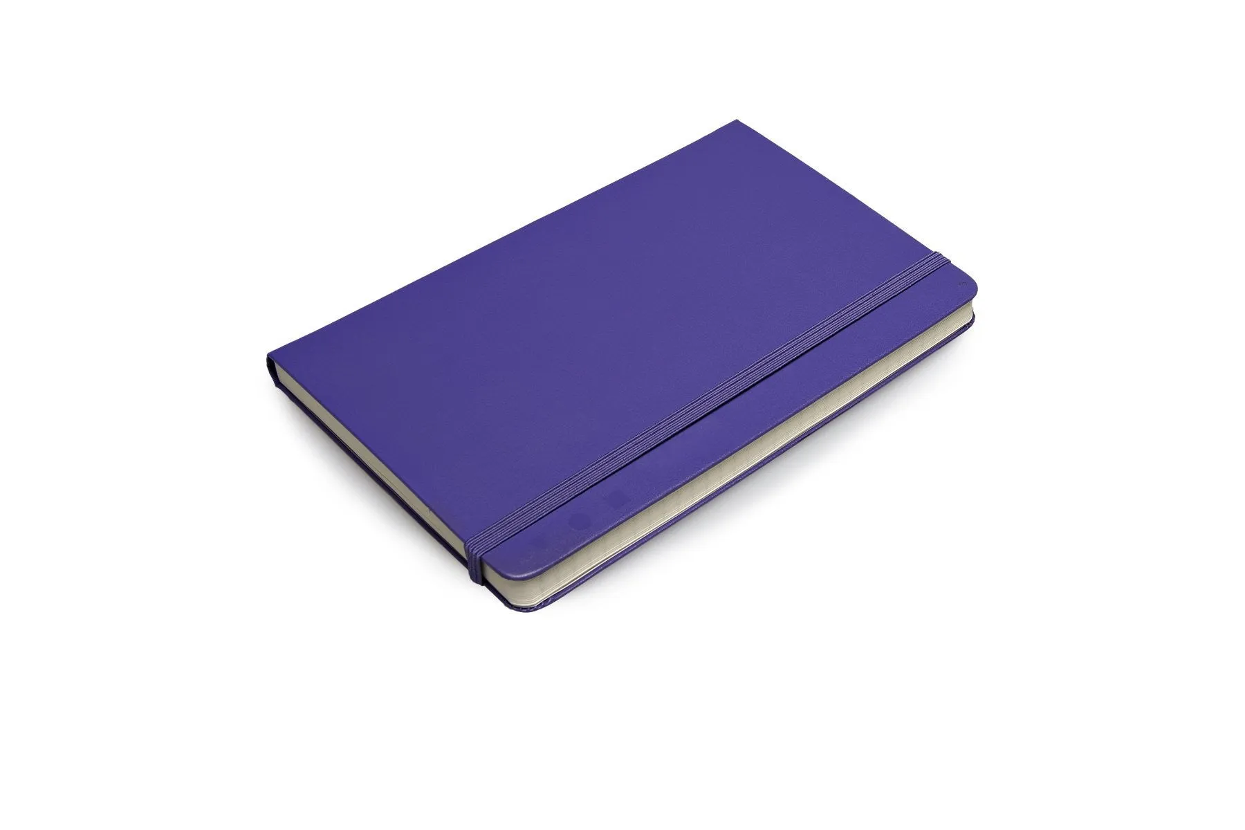 Moleskine Folio Professional Notebook - Large