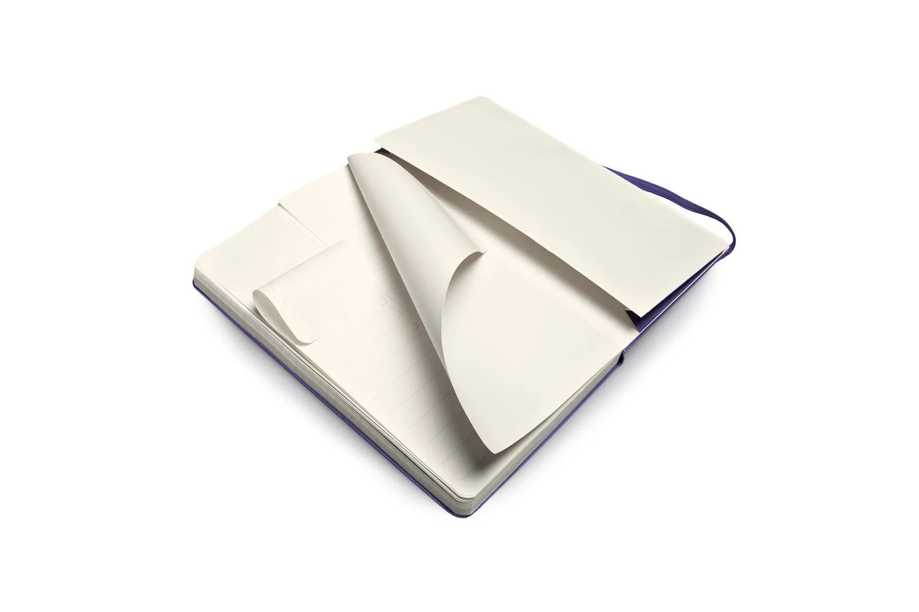 Moleskine Folio Professional Notebook - Large