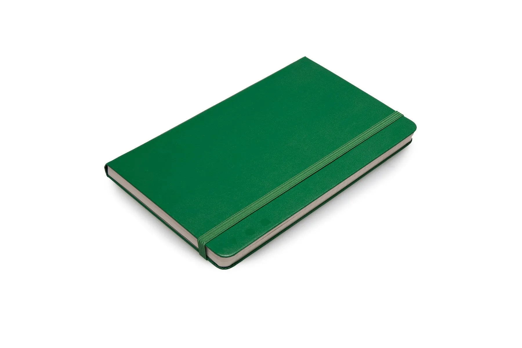 Moleskine Folio Professional Notebook - Large