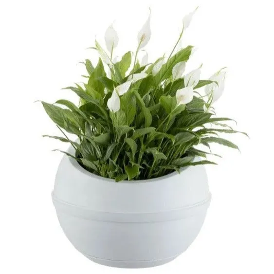 Sfera Self Watering Planter With Clip-on Saucer White