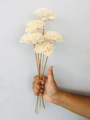Zinnia Sola Flower | 5pcs